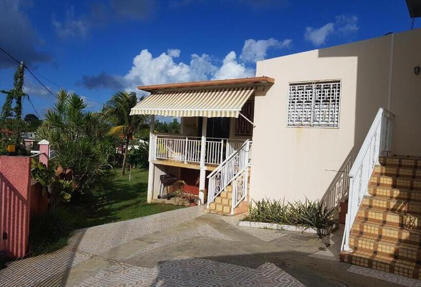 پانسیون La Maison Aux Orchidées