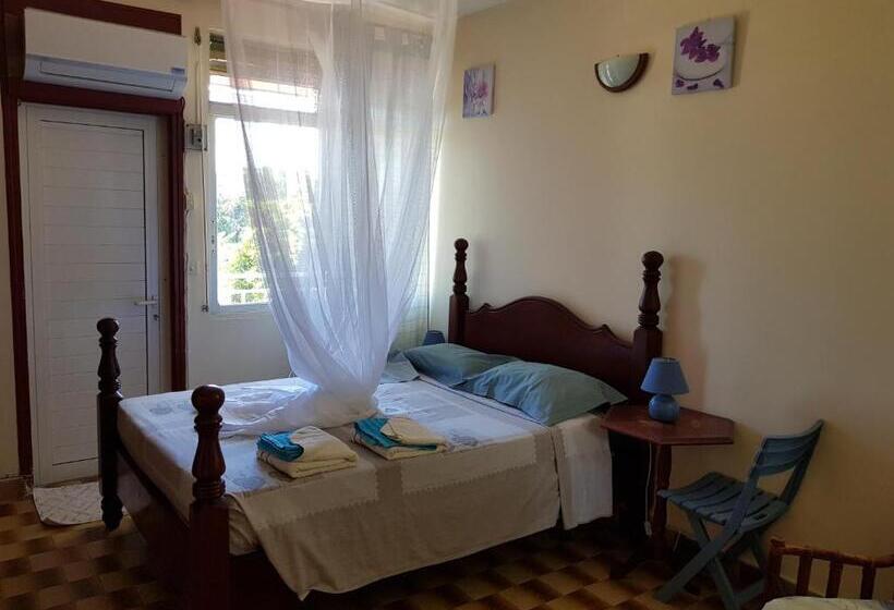 پانسیون La Maison Aux Orchidées