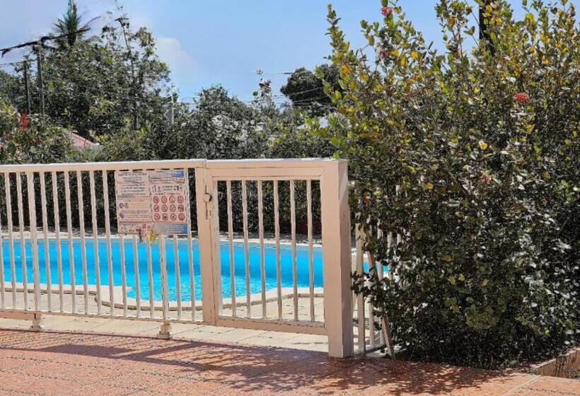 پانسیون La Maison Aux Orchidées