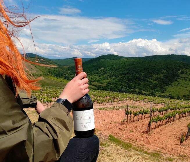 פנסיון Orosz Gábor Vendégház Mád