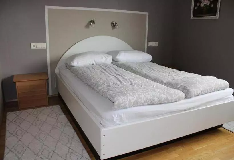 پانسیون Stóri Bakki Guesthouse With Hot Tub
