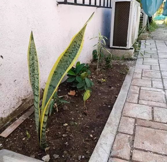 هاستل Hostal A 10 Min Del Centro De Veracruz