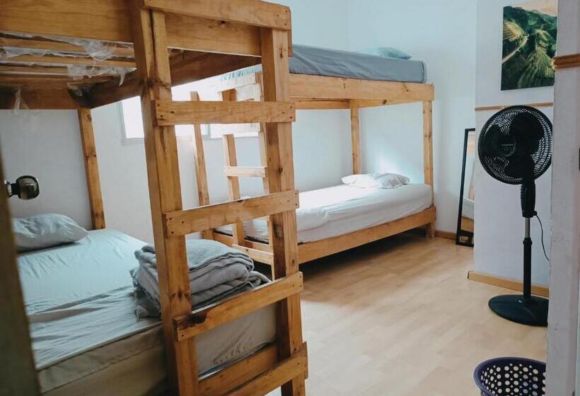 호스텔 Hostal A 10 Min Del Centro De Veracruz