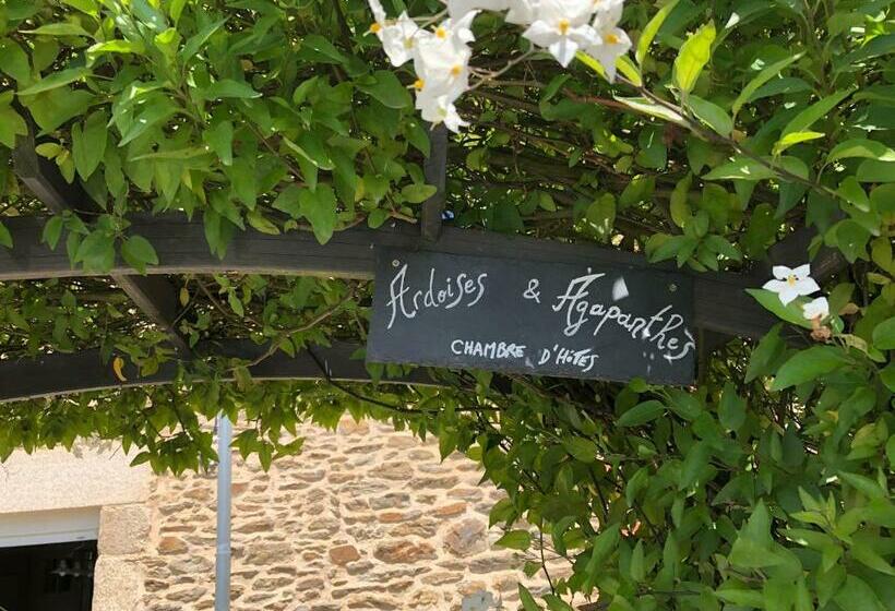 Bed and Breakfast Ardoises Et Agapanthes