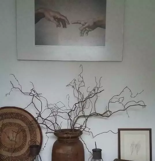 Aamiaismajoitus (B&B) Aroha