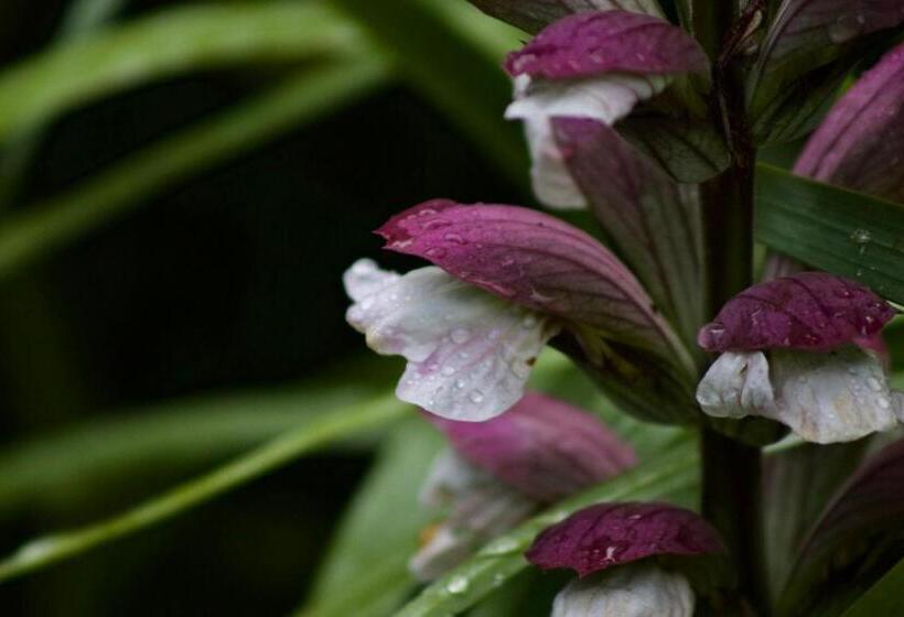 ベッドアンドブレックファースト Bagnell Farm Cottage