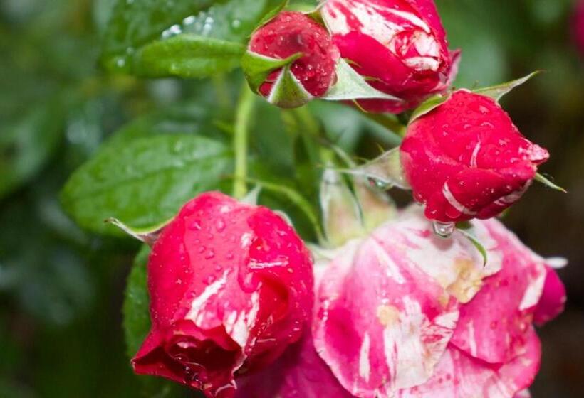 ベッドアンドブレックファースト Bagnell Farm Cottage