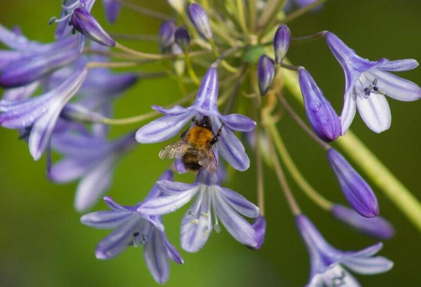 ベッドアンドブレックファースト Bagnell Farm Cottage