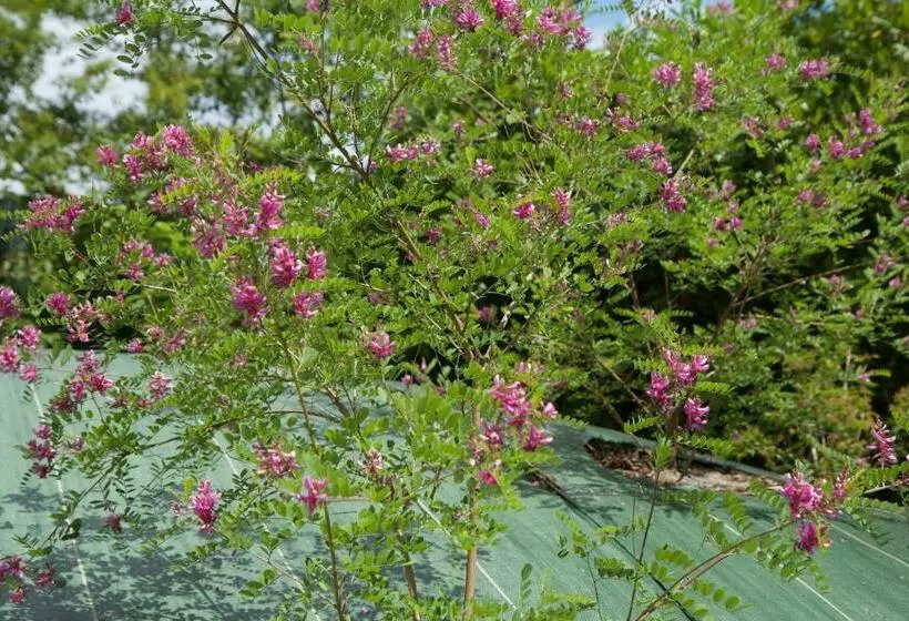 Aamiaismajoitus (B&B) Chambre Beausejour