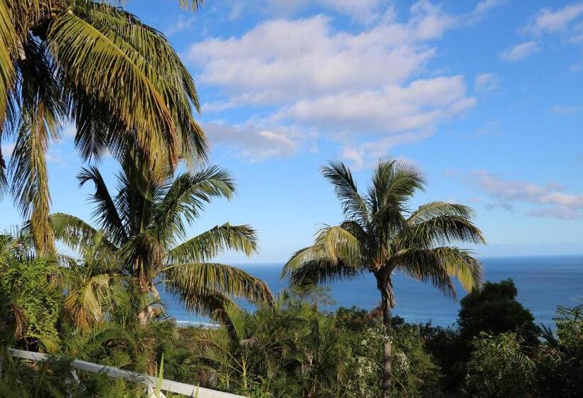 تختخواب و صبحانه Saint Leu Chambre 3 épis Avec Pdj Piscine En Pleine Nature Vue Mer Bardzour