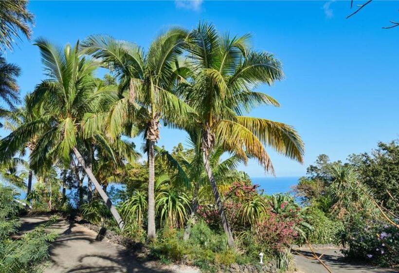 تختخواب و صبحانه Saint Leu Chambre 3 épis Avec Pdj Piscine En Pleine Nature Vue Mer Bardzour