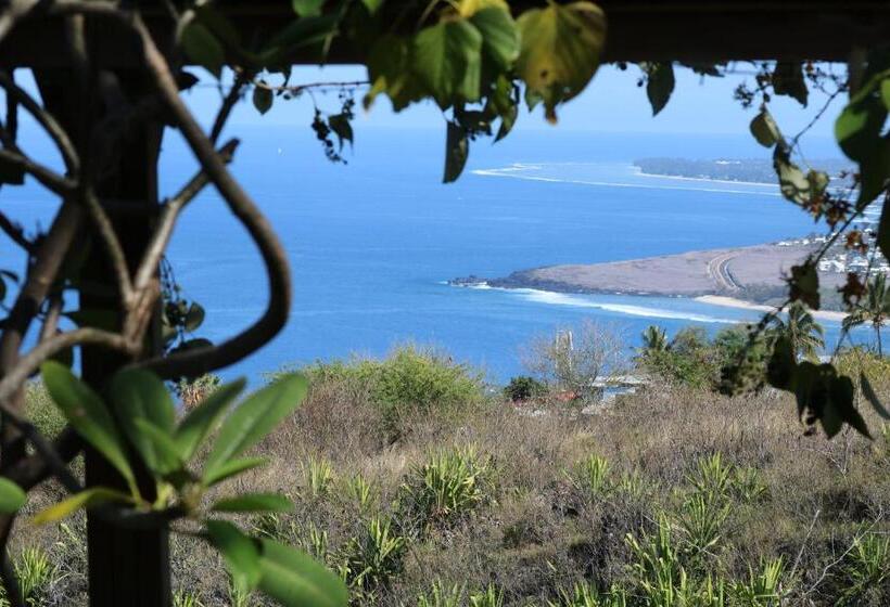 تختخواب و صبحانه Saint Leu Chambre 3 épis Avec Pdj Piscine En Pleine Nature Vue Mer Bardzour