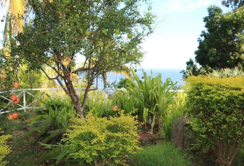 تختخواب و صبحانه Saint Leu Chambre 3 épis Avec Pdj Piscine En Pleine Nature Vue Mer Bardzour