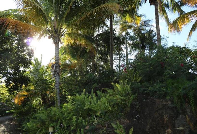 تختخواب و صبحانه Saint Leu Chambre 3 épis Avec Pdj Piscine En Pleine Nature Vue Mer Bardzour