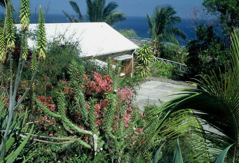 تختخواب و صبحانه Saint Leu Chambre 3 épis Avec Pdj Piscine En Pleine Nature Vue Mer Bardzour