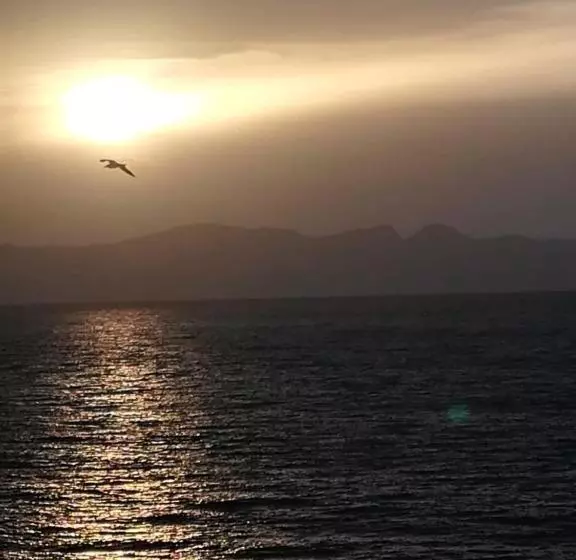 Aamiaismajoitus (B&B) Sunset Cottage