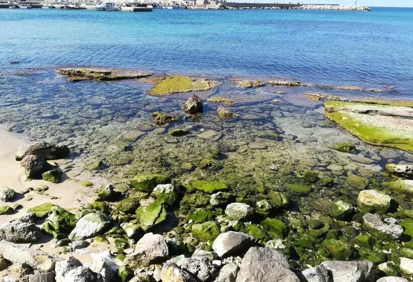 Aamiaismajoitus (B&B) Sunset Cottage