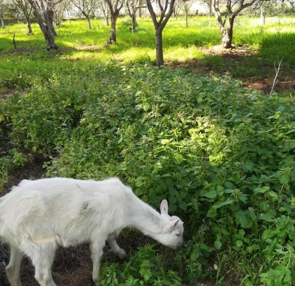 민박 Sunset Cottage