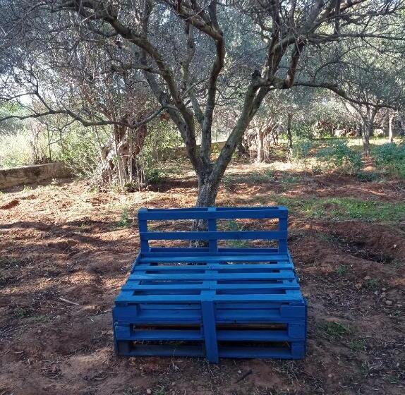 ベッドアンドブレックファースト Sunset Cottage