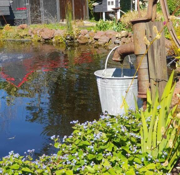 Bed & Breakfast Ff Rust