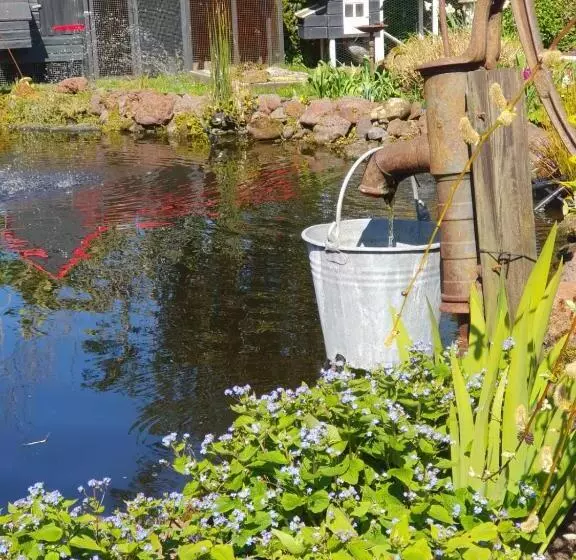 Bed & Breakfast Ff Rust