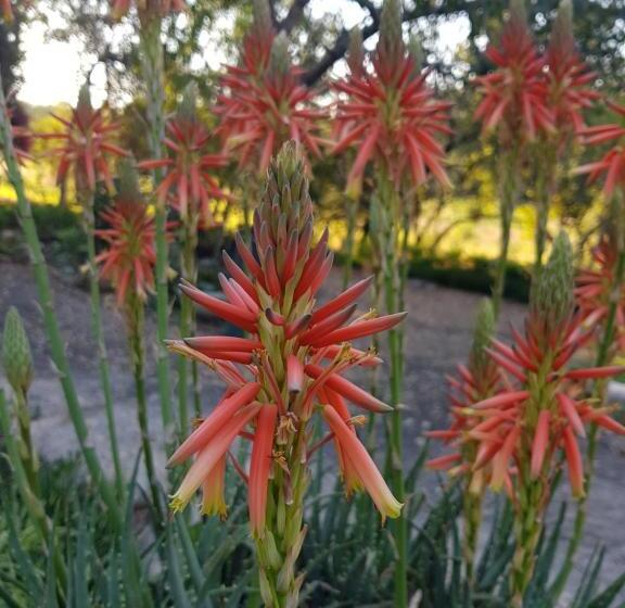 בית מלון כפרי A Farm Stay Casablanca S Private Cottage,no Loadshedding!