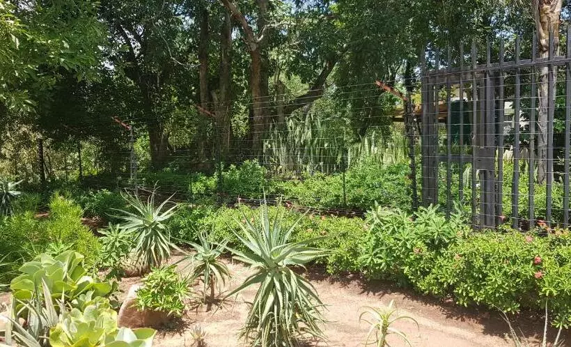 هتل A Farm Stay   Casablanca S Private Cottage,no Loadshedding!