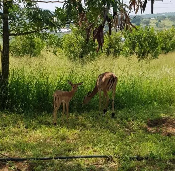 هتل A Farm Stay   Casablanca S Private Cottage,no Loadshedding!