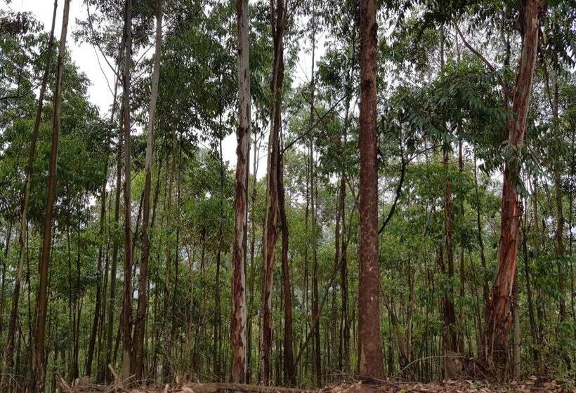 בית מלון כפרי A Farm Stay Casablanca S Private Cottage,no Loadshedding!