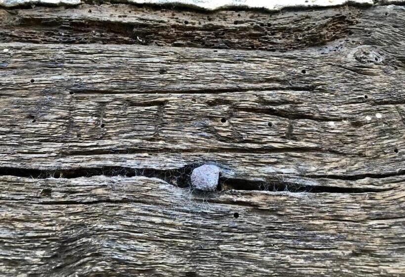 민박 Roulage Ferme 18ème Normandie Plage