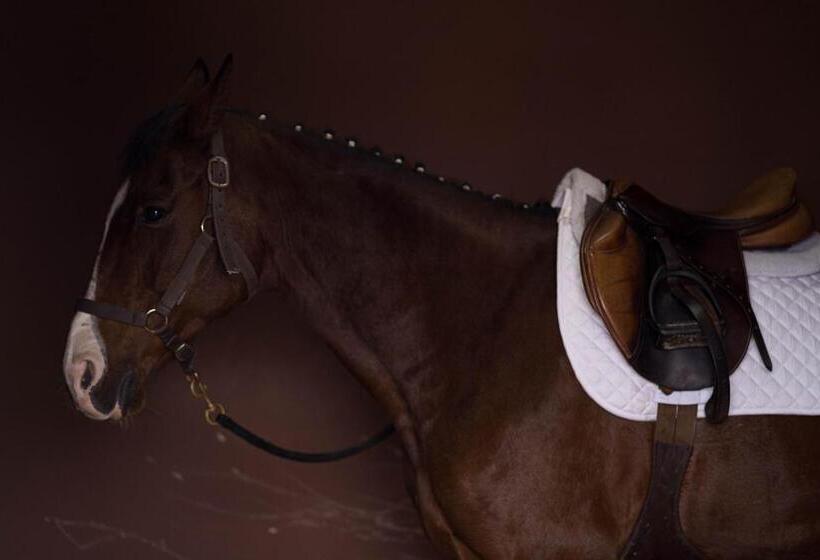 Bed and Breakfast Tapada Do Chafariz