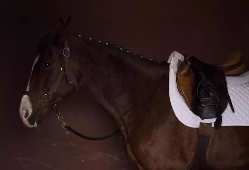 ベッドアンドブレックファースト Tapada Do Chafariz