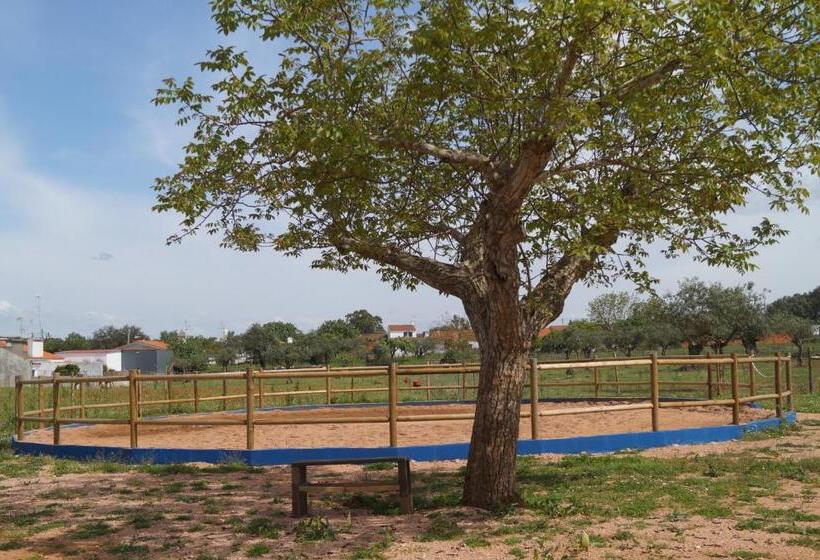 Bed and Breakfast Tapada Do Chafariz