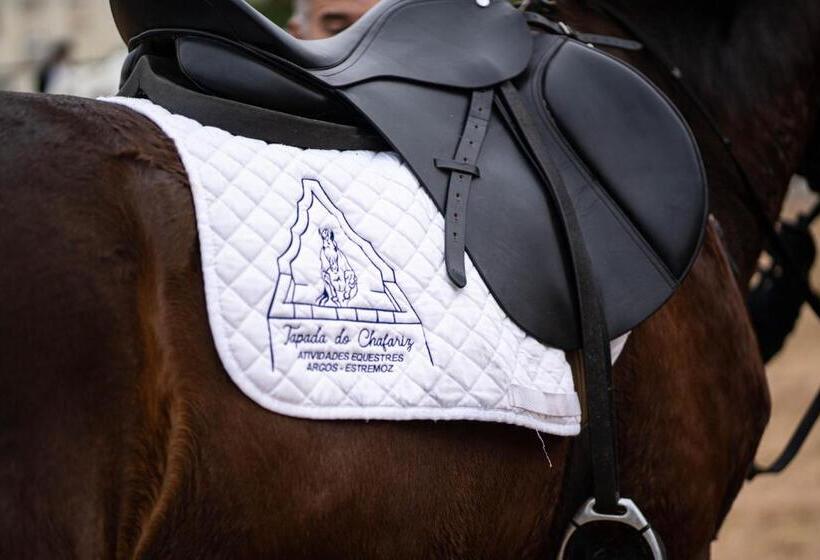 Bed and Breakfast Tapada Do Chafariz