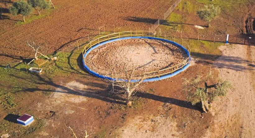 Bed and Breakfast Tapada Do Chafariz