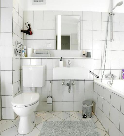 Отель Swetis Passage