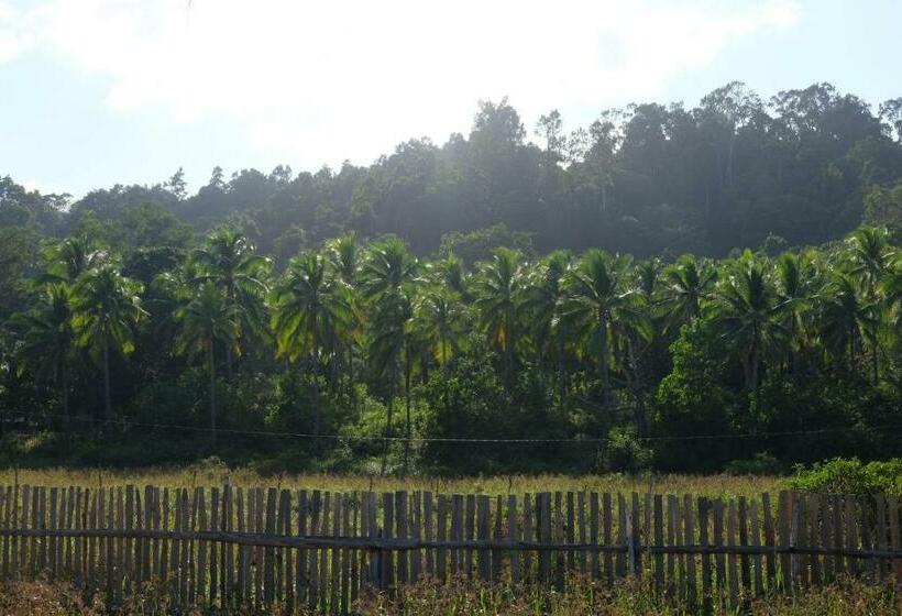 پانسیون Palayan Paradise Huts