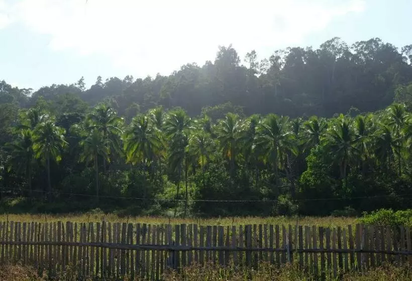 Majatalo Palayan Paradise Huts