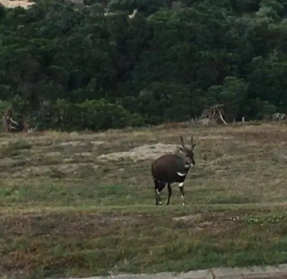 Majatalo Seesterkloof