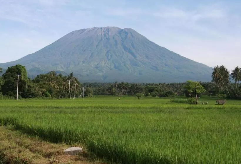 リゾートホテル Arjunabungalows