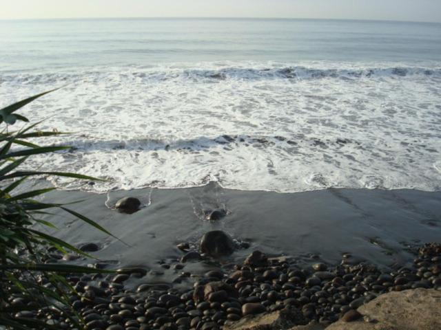 リゾートホテル Arjunabungalows