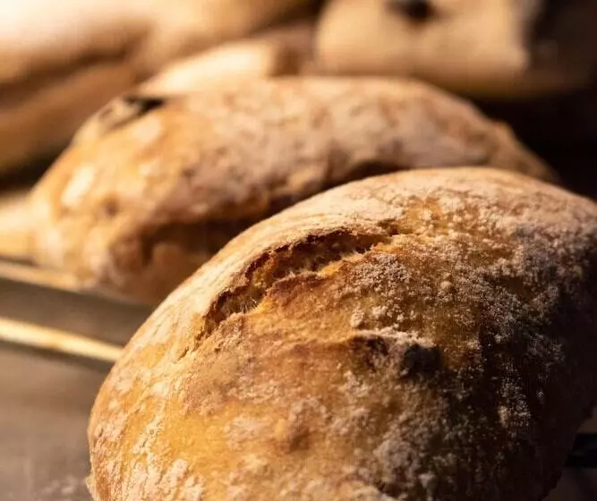 Отель Bettina Garni