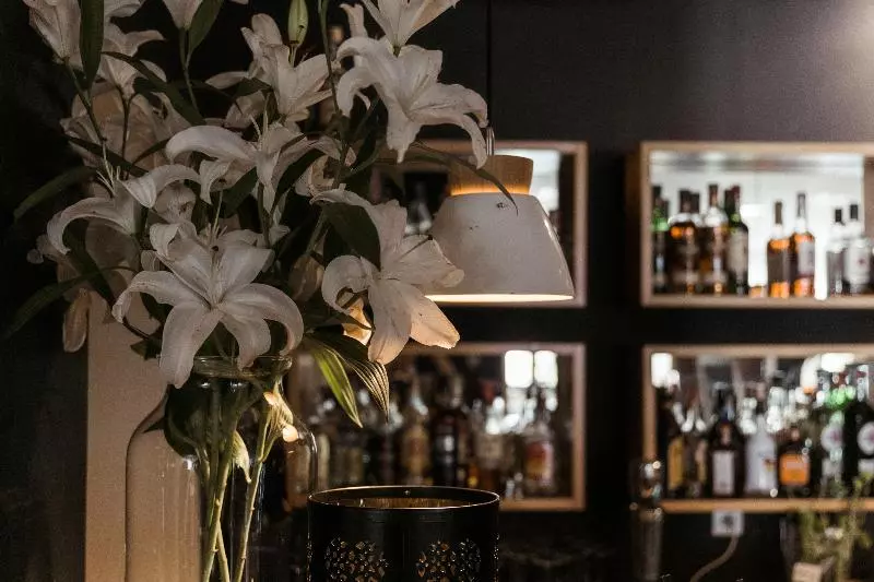 Boutique Eco Hotel Sasanka