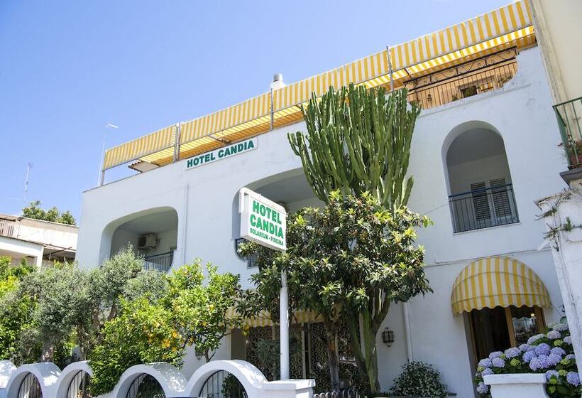 ホテル Candia