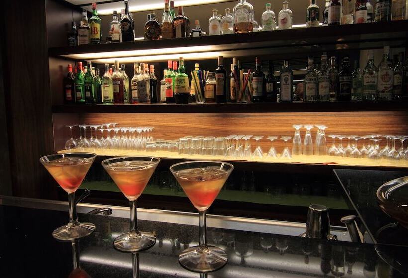 בית מלון כפרי Metro