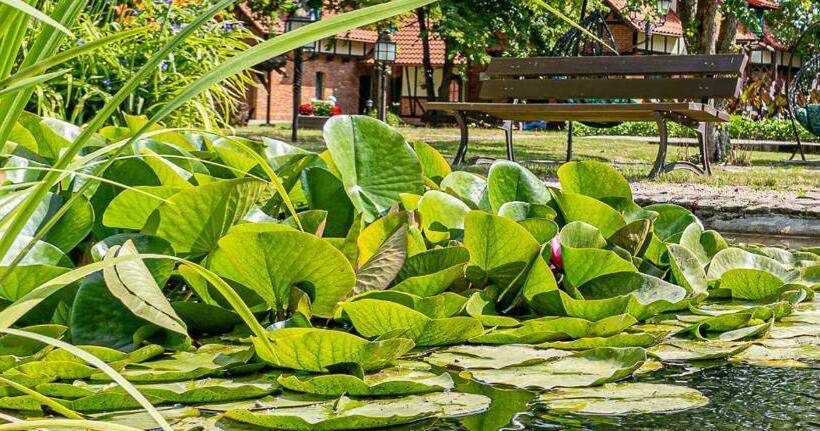 Отель Spa Srebrny Dzwon Kadyny