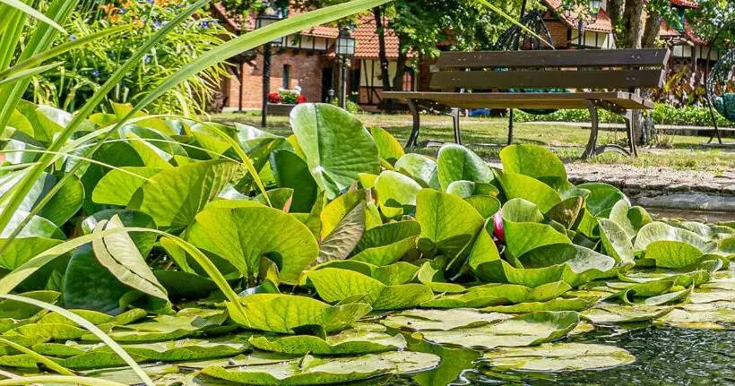 בית מלון כפרי Spa Srebrny Dzwon Kadyny