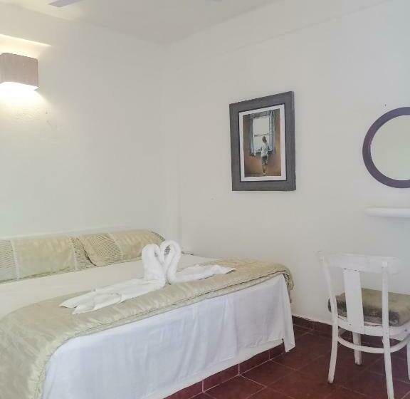 فندق صغير Posada Casa Antigua