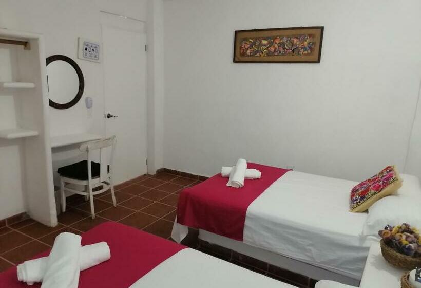 فندق صغير Posada Casa Antigua