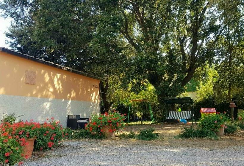 בית מלון כפרי Punta Dei Lecci